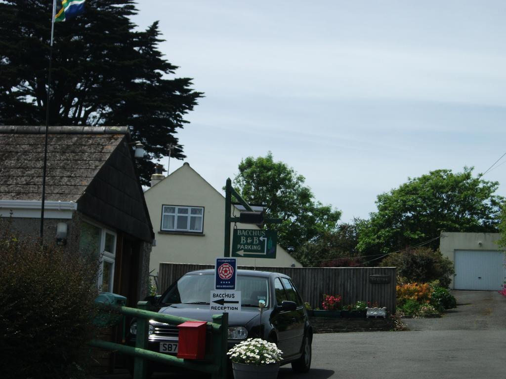 Bacchus Otel Mevagissey Dış mekan fotoğraf