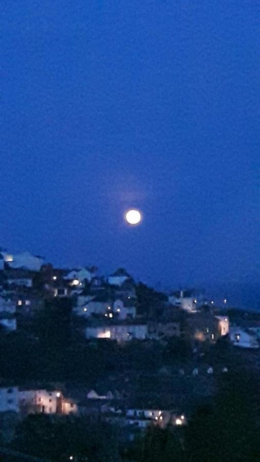 Bacchus Otel Mevagissey Dış mekan fotoğraf